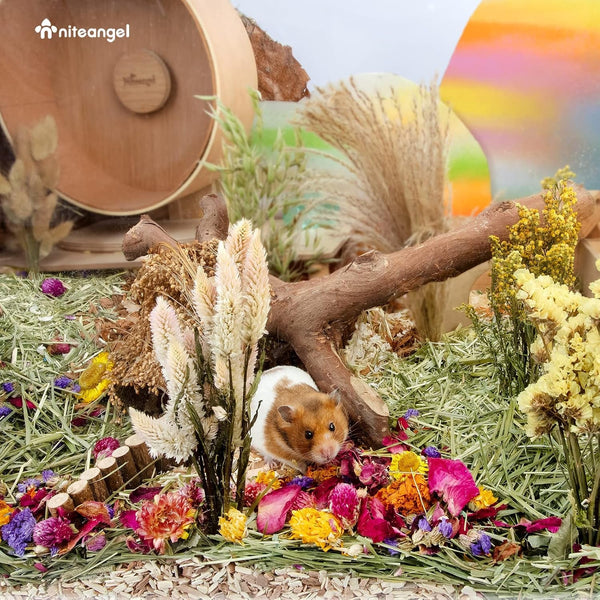 Niteangel Natural & Soft Hamster Bedding Mate: Air-Dried Flowers & No-Add | Fun to Cage Habitat & Adds Vibrant Color - Decor for Syrian Dwarf Hamster Gerbils Mice Degus or Other Small-Sized Pet7