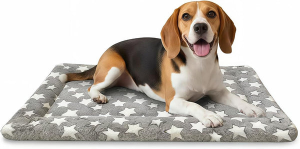 Dog Bed Mat, Dual-Sided Dog Crate Bed Mat - Ultra Soft & Machine Washable Kennel Pad for Small Dogs, All-Season Comfort Pet Bed for Crates, Travel, and Home, Star Gray, 24 X 16 Inch10