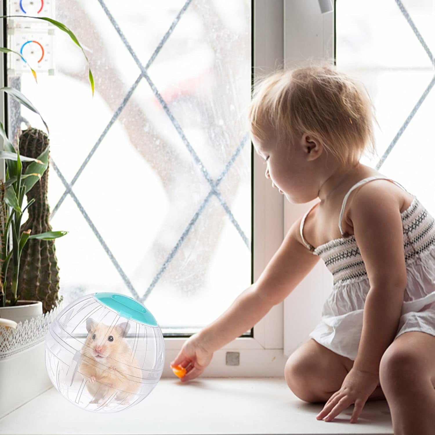 hamster-exercise-ball-5-7-inch-transparent-running-wheel-for-dwarf-hamsters-to-reduce-boredom-and-increase-activity