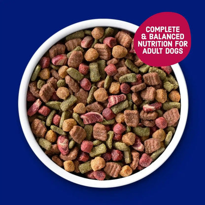 Kibbles 'N Bits Bistro Dry Dog Food, Oven Roasted Beef Flavor, 45 Lb. Bag | Complete & Balanced Nutrition Formulated for Adult Dogs of All Breeds & Sizes Crafted with Spring Vegetable & Apple Flavors3