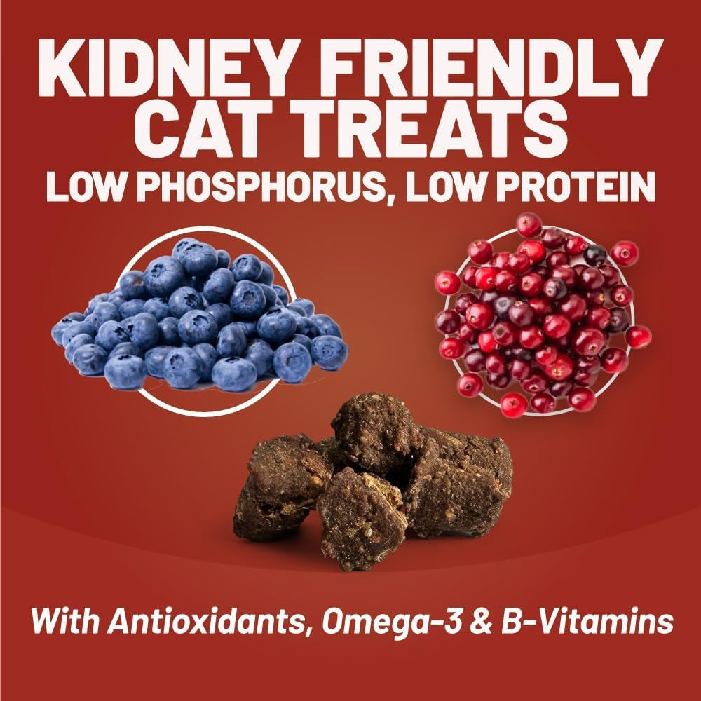 daves-pet-food-renal-cat-treats-for-cat-kidney-support-new-recipe-semi-moist-healthy-treats-with-kidney-support-for-cats-made-in-usa-2-pack