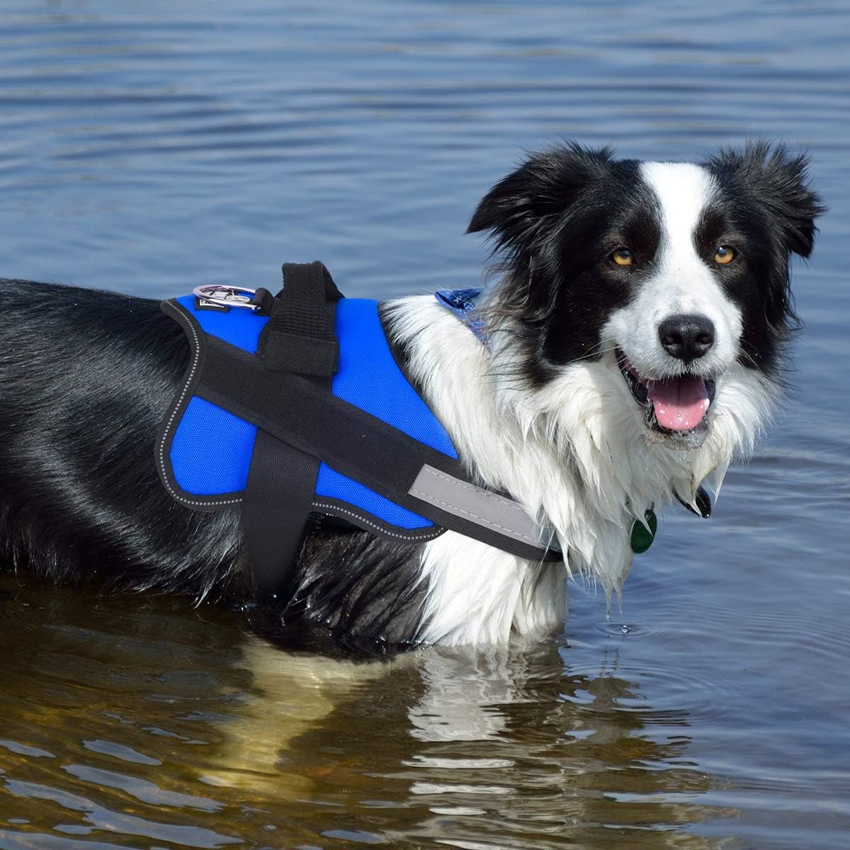 dog-harness-no-pull-reflective-dog-vest-breathable-adjustable-pet-harness-with-handle-for-outdoor-walking-no-more-pulling-tugging-or-choking-blue-s