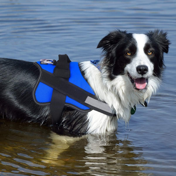 Dog Harness, No-Pull Reflective Dog Vest, Breathable Adjustable Pet Harness with Handle for Outdoor Walking - No More Pulling, Tugging or Choking (Blue, S)6
