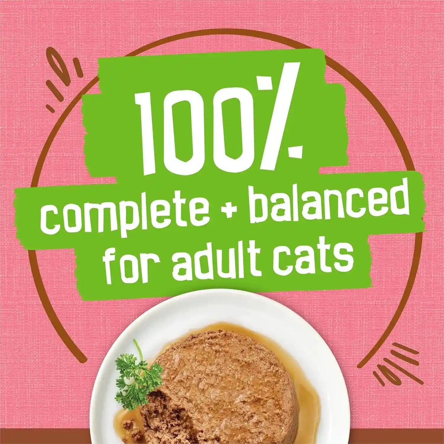 purina-friskies-wet-cat-food-extra-gravy-pate-with-salmon-in-savory-gravy-pack-of-24-5-5-oz-cans