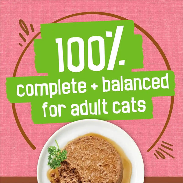 Purina Friskies Wet Cat Food Extra Gravy Pate with Salmon in Savory Gravy - (Pack of 24) 5.5 Oz. Cans5