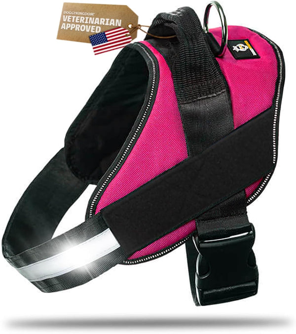 DOGGYKINGDOM No Choke Dog Harness with Handle and Patch Panels, Adjustable Reflective Dog Vest for Small Sized Dog, Blue, S17