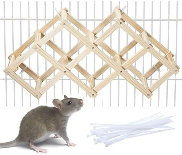 Kiln-Dried Wood Rat Climb Toy, Hanging Cage Ladder Activity (M, 1Pc) | Natural Rat Cage Bridge, Multiple Openings & Directional Ramps Offer Challenges to Satisfy Rats' Instincts for Explore & Play1
