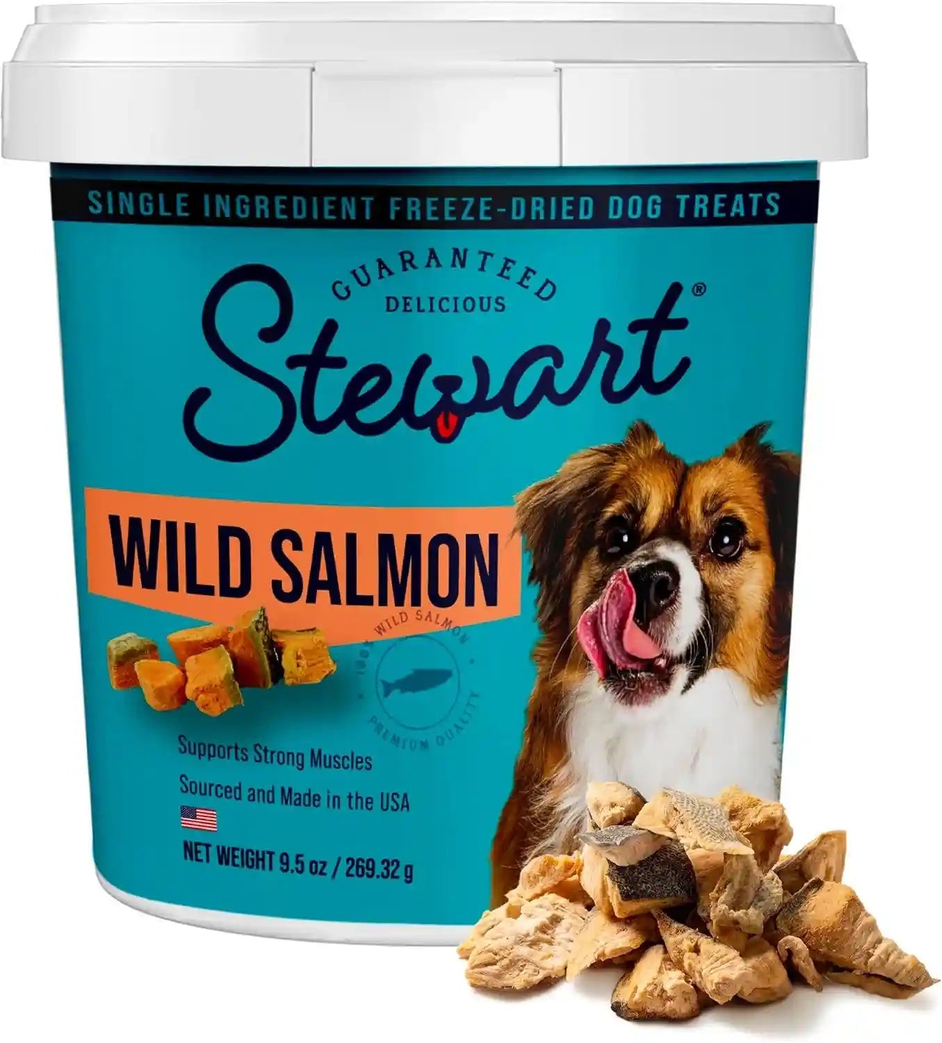 stewart-freeze-dried-dog-treats-100-wild-salmon-9-5-oz-tub-premium-quality-raw-protein-single-ingredient-high-protein-training-treats-food-topper-no-refrigeration-cat-friendly