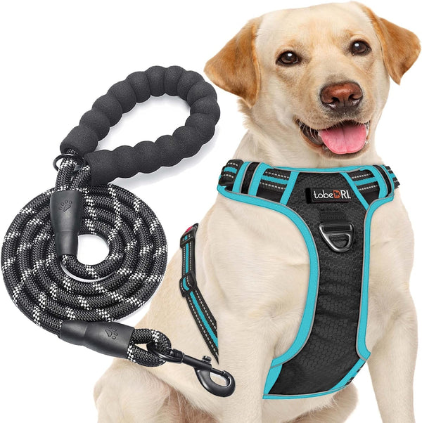 Tobedri No Pull Dog Harness Adjustable Reflective Oxford Easy Control Medium Large Dog Harness with a Free Heavy Duty 5Ft Dog Leash, Blue, M8