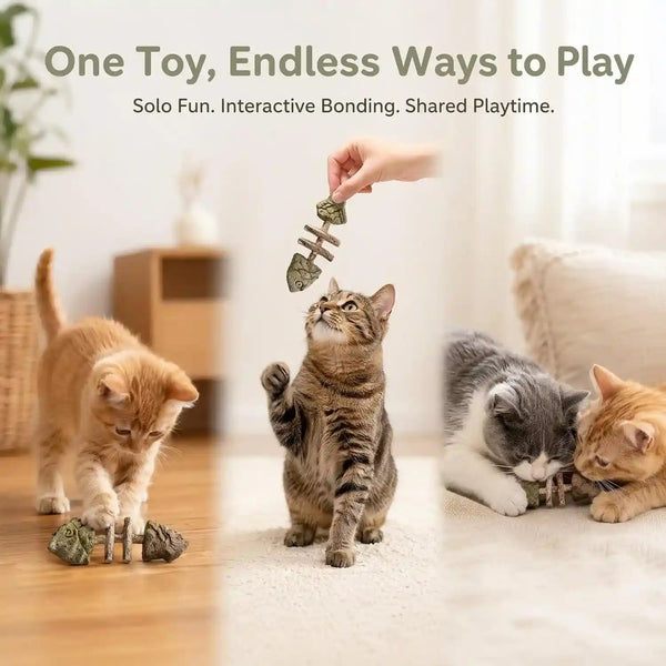 Sterling Whiskers Cat Chew Stick, Catnip & Silvervine Fishbone Toy, 2 PCS | Natural Catnip & Silvervine, Fishbone Texture, Chewing Enrichment, Oral Care Support, Indoor Cat Toy9