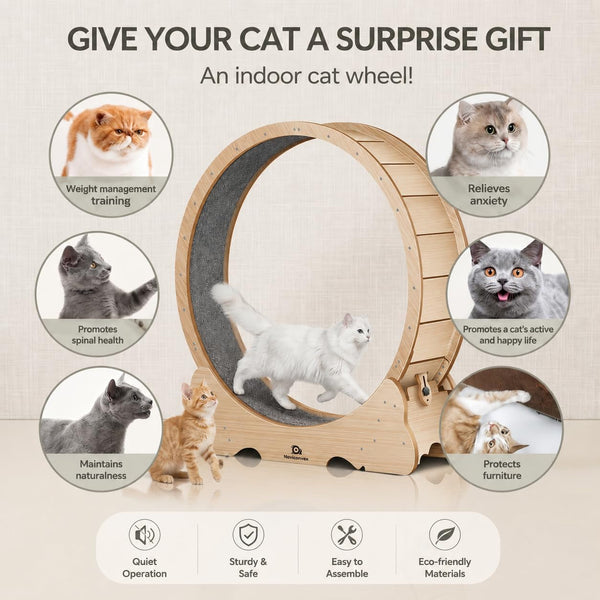 Cat Wheel, 46" XL Large Exercise Running Wheels with Detachable Carpet for Indoor Cats2
