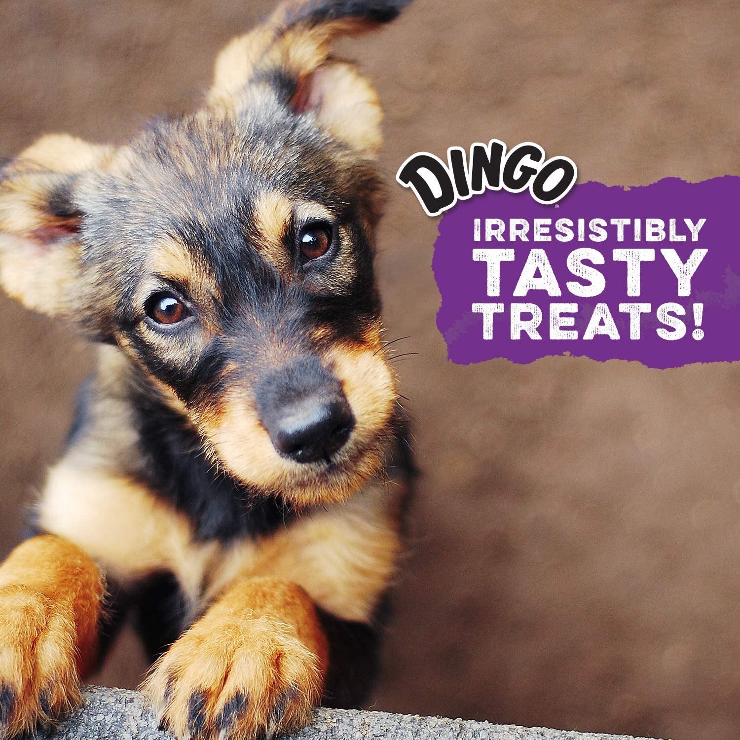dingo-twist-sticks-rawhide-dog-treat-with-real-chicken-50-count-long-lasting-rawhide-with-real-chicken-provides-protein-natural-chewing-action-promotes-clean-teeth-for-adult-dogs