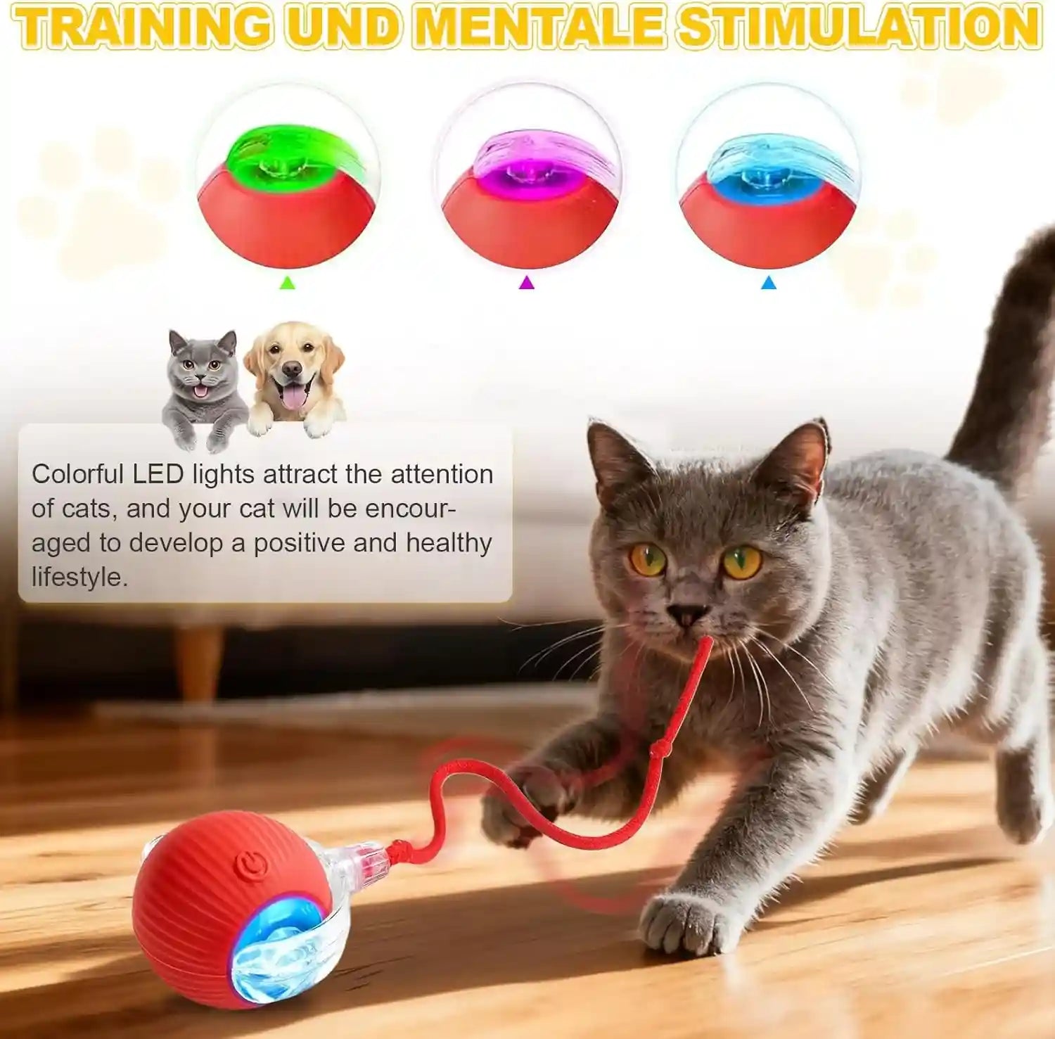 2-pack-usb-rechargeable-smart-cat-toy-ball-360-rotation-automatic-moving-chase-toy-obstacle-avoidance-interactive-play-with-4-spiral-springs-enrichment-toys-for-indoor-cats-puppies-small-dogs