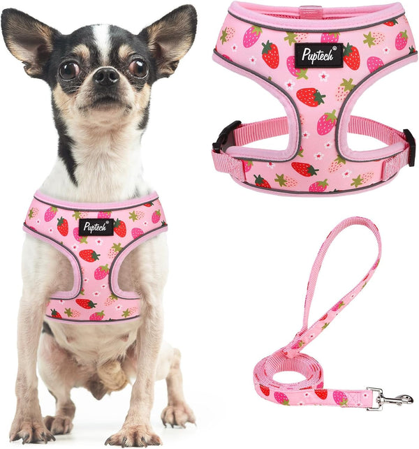 PUPTECK Soft Mesh Dog Harness Small Sized and Leash Set Pet Puppy Cat Comfort Padded Vest No Pull Harnesses, Beige, S22
