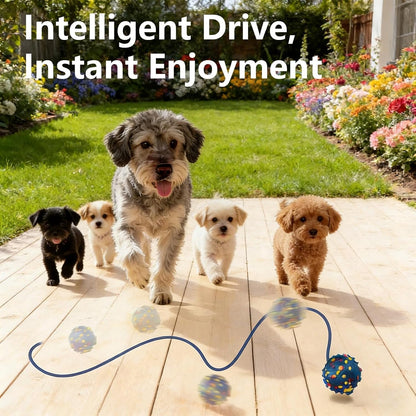 Interactive Dog Toys, Smart Dog Ball, E-TPU Material Automatic Moving, Bouncing, Vibrating Ball Durable Duraspin Design for Aggressive Chewers.Keeps Dogs Busy and Entertained.Suitable for All Dogs4