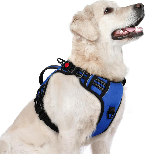 Rabbitgoo Large Dog Harness, Easy Wear with 3 Buckles and Lift Handle | No Pull with Front Clip for Walking, Adjustable Soft Padded, Reflective, Easy Control, Pink, Large38