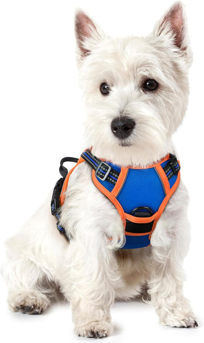 Rabbitgoo Dog Harness, No Pull for Large Dogs with 2 Leash Clips, Pet Vest | No Choke with Handle, Adjustable Soft Padded, Reflective, Easy Control for Walking, Black, Large13
