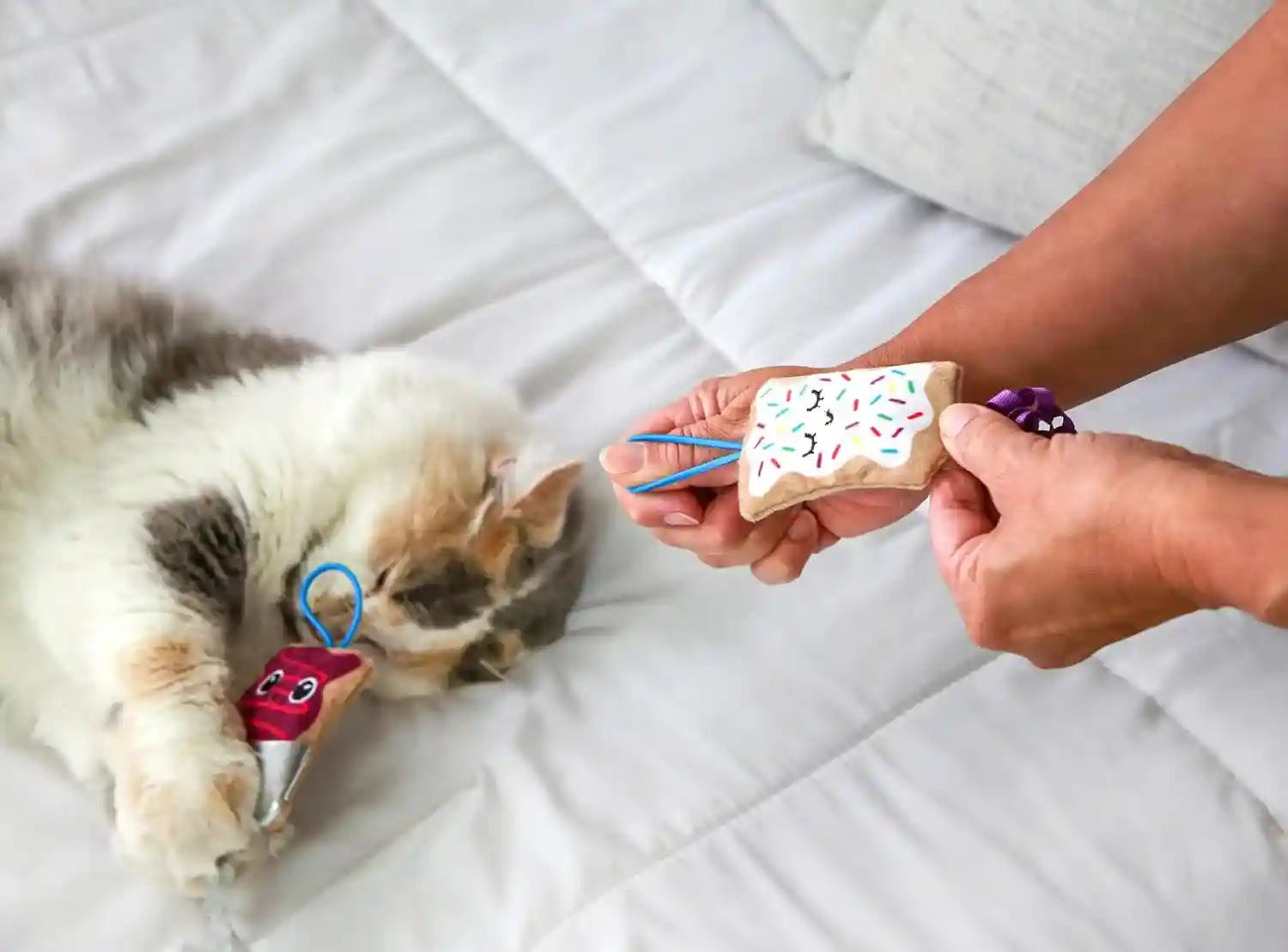 quirky-kitty-flingin-purr-tarts-catnip-filled-interactive-cat-toys-2-pack-pastry-themed-pair-made-for-tossing-games-sparks-batting-chasing-and-playful-energy-in-felines-during-active-daily-sessions