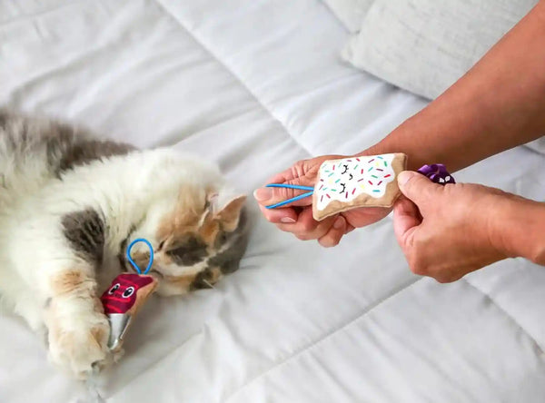 Quirky Kitty Flingin Purr Tarts Catnip Filled Interactive Cat Toys, 2 Pack | Pastry Themed Pair Made for Tossing Games, Sparks Batting, Chasing and Playful Energy in Felines during Active Daily Sessions5