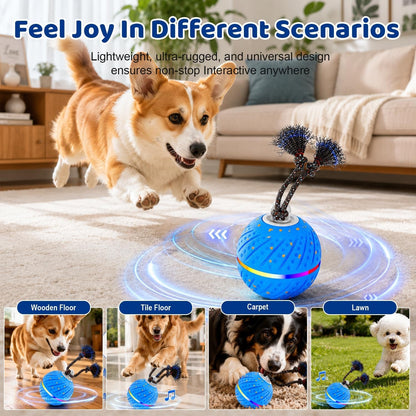 Smart Interactive Dog Toys Ball for Aggressive Chewers Medium Large,E-Tpu | Auto-Moving & Bouncing Ball, 2 Modes with RGB Lights & Bird Sounds,Bite-Resistant Rope, IP54 Waterproof, Type-C Fast Charge4