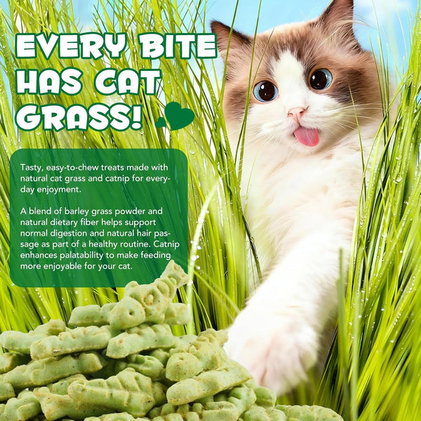 180G/6.4Oz Cat Grass Treats for Hairball Control, Natural Teeth Cleaning & Fresh Breath, Crunchy Catnip Flavored Biscuits with Barley Grass, Cat Training Rewards for All Breeds6