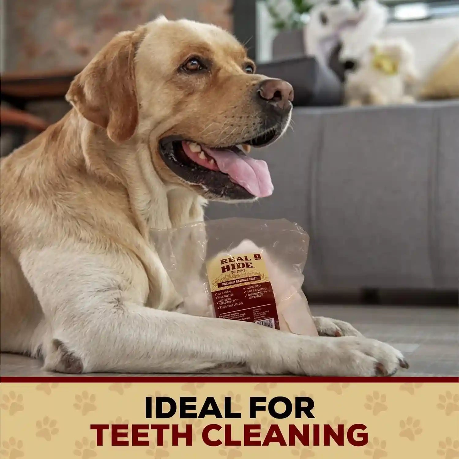 real-hide-all-natural-dog-chew-treats-rawhide-chips-1-pound-all-natural-chew-treats-premium-rawhide-chips-grass-fed-free-range-beef-hide-long-lasting-for-all-dog-sizes