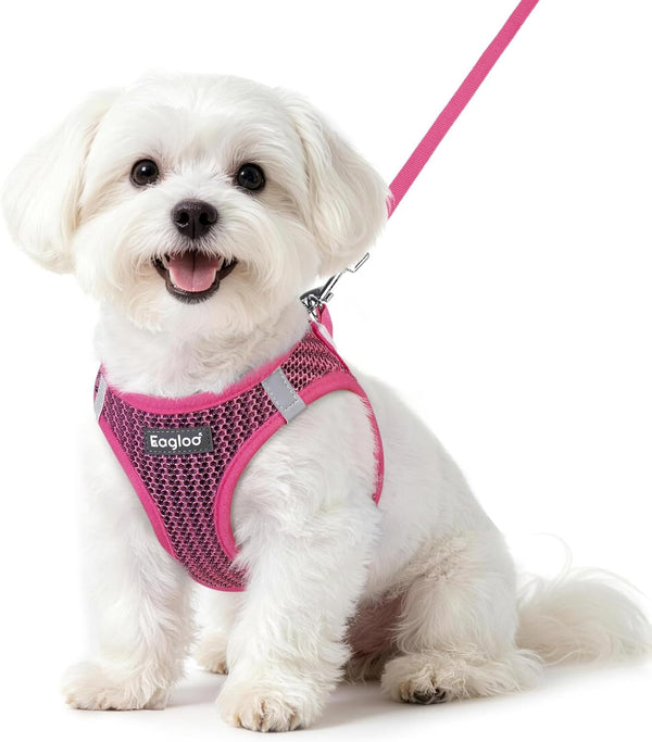 Eagloo Small Dog Harness and Leash Set, Step in Small Sized Puppy Pet Vest | Light, Soft, Breathable Air Mesh, Easy on and off with Hook & Loop, Reflective for Safe Walking, Pink, S21