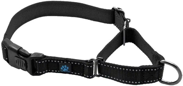 Max and Neo Nylon Martingale Collar - We Donate to a Dog Rescue for Every Collar Sold (Medium, Orange)10
