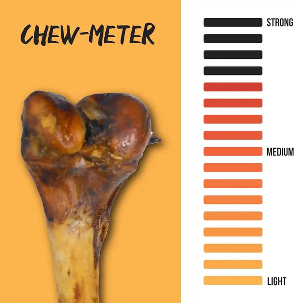 Grillerz Pork Femur Bone, Rawhide-Free, 1 Count | an All-Natural, Rawhide-Free Chew That'S Long-Lasting and Helps Support Healthy Teeth, for Dogs6