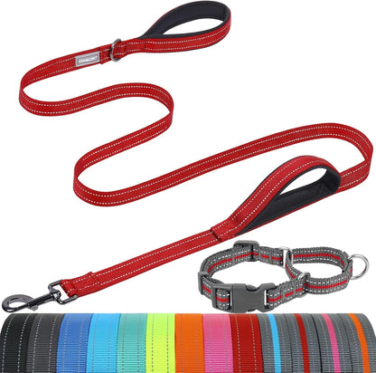 VIVAGLORY Double Handle Dog Leash Twingrip, 6Ft X 1In, Navy | Dog Leash for Collar with Traffic Handle & 2 Loop for Walking & Training, Traffic Control Reflective Heavy Duty Puppy Pet25