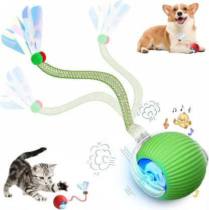 2 Packs Speed 2.0 Tail Interactive Cat Toys for Indoor Cats, Chirping & Motion Activate Cat Toy, Smart Kitten Rolling Ball Moving Ball Toys, Rechargeable Dog Cats Bal L for Enrichment Exercise12