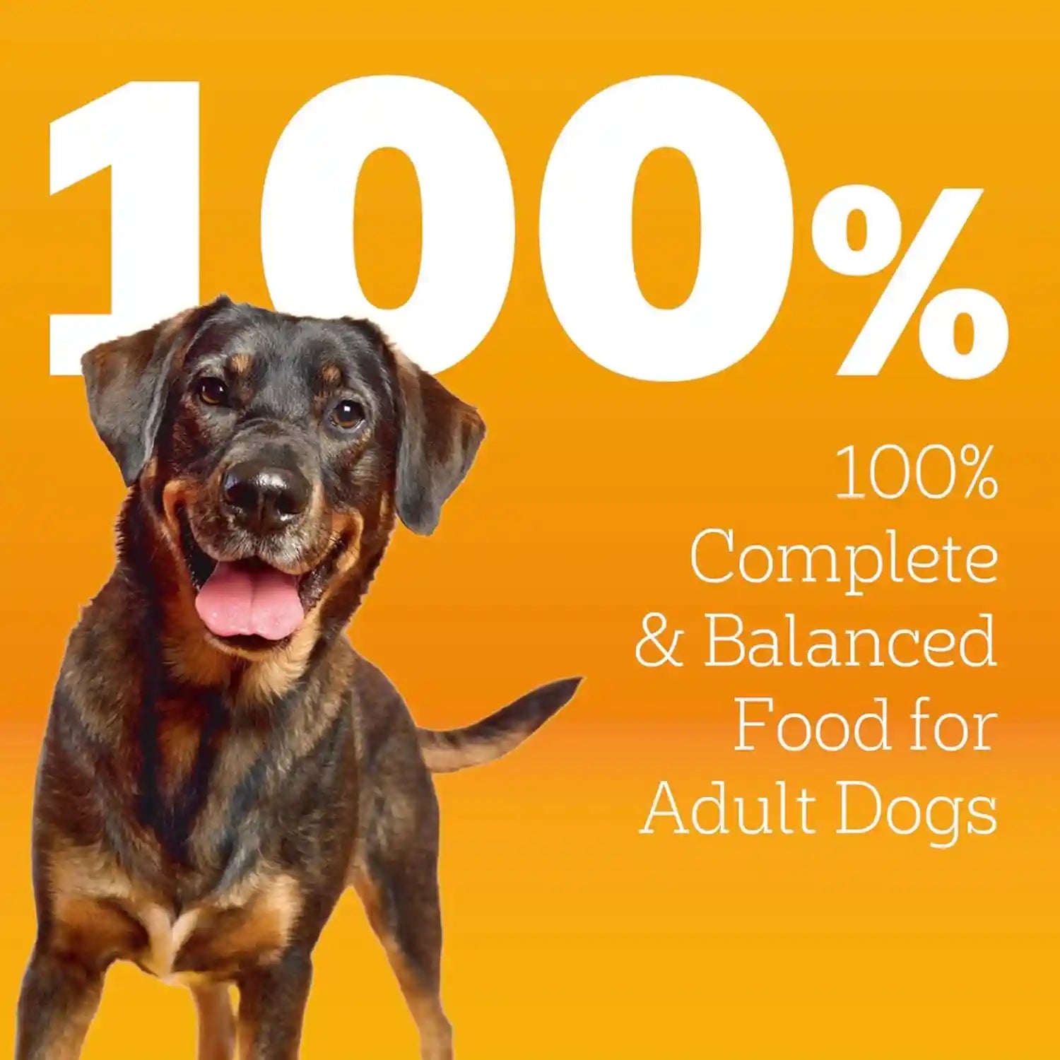 pedigree-high-protein-adult-dry-dog-food-beef-and-lamb-18-lb-real-red-meat-25-more-protein-36-vitamins-minerals-prebiotic-fiber-omega-6-zinc-100-complete-balanced