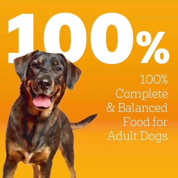 Pedigree High Protein Adult Dry Dog Food, Beef and Lamb, 18 Lb | Real Red Meat, 25% More Protein, 36 Vitamins & Minerals, Prebiotic Fiber, Omega 6 & Zinc, 100% Complete & Balanced3
