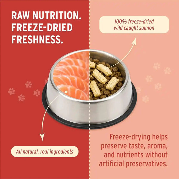 Nutri Bites Freeze Dried Salmon Dog and Cat Treats, 14 Oz3