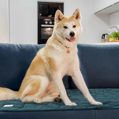 Travel Dog Bed | Camping Dog Bed | 37.4"X25.6" Waterproof Outdoor Dog Mat | Portable Place Mat for Dogs with Handle | Machine Washable | Easy Clean for Outdoor Adventures (Green, Medium)2