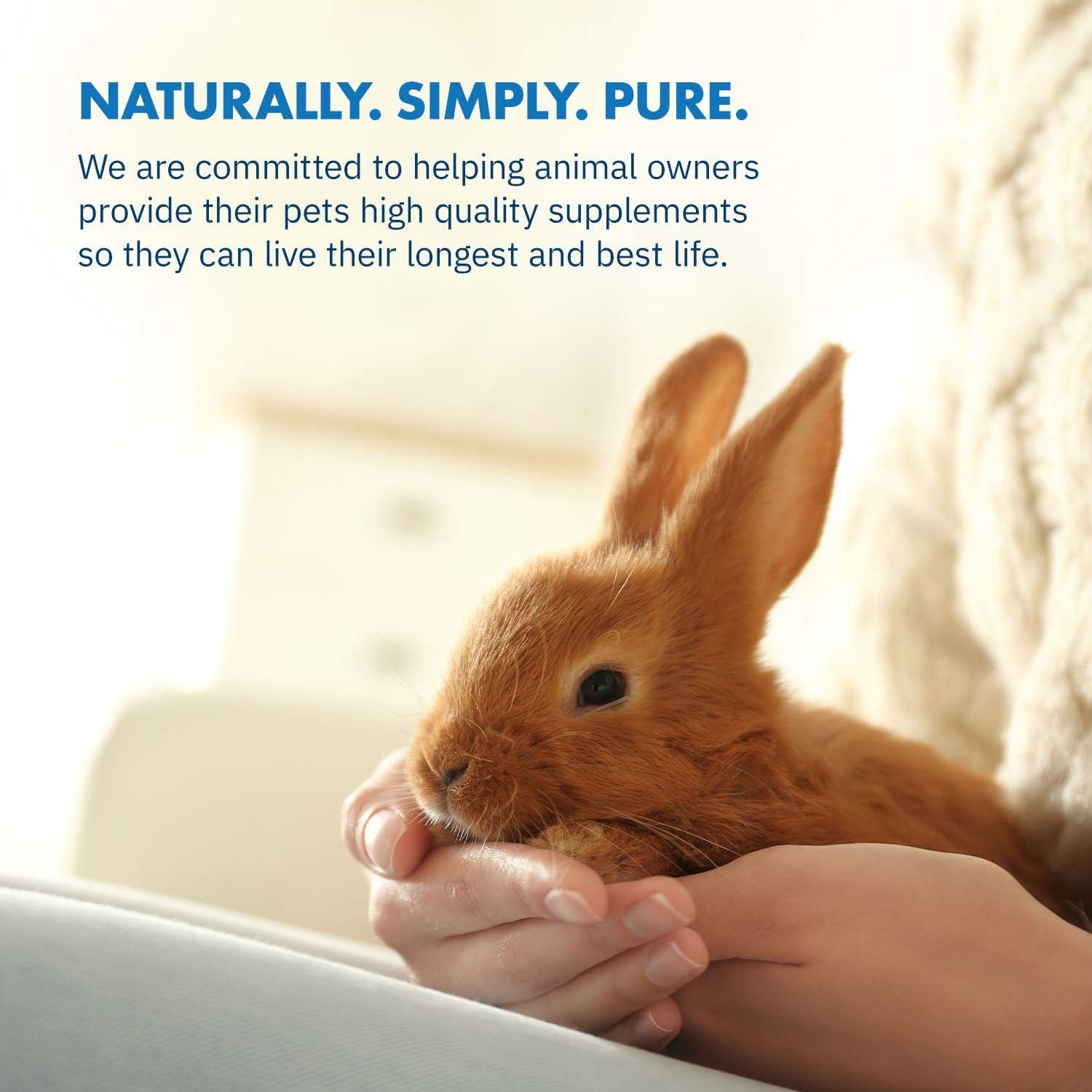 healthygut-probiotics-for-rabbits-dietary-supplement-all-natural-digestive-system-formula-120-servings
