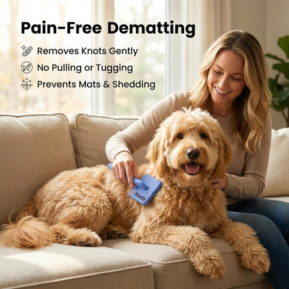 Slicker Brush for Dogs, Pet Grooming Brushes for Doodles & Poodles, Large | Best Brush for Long Haired Dogs, Dematting Comb & Deshedding Tools for Goldendoodle Coats, Puppy Matting Grooming Supplies2