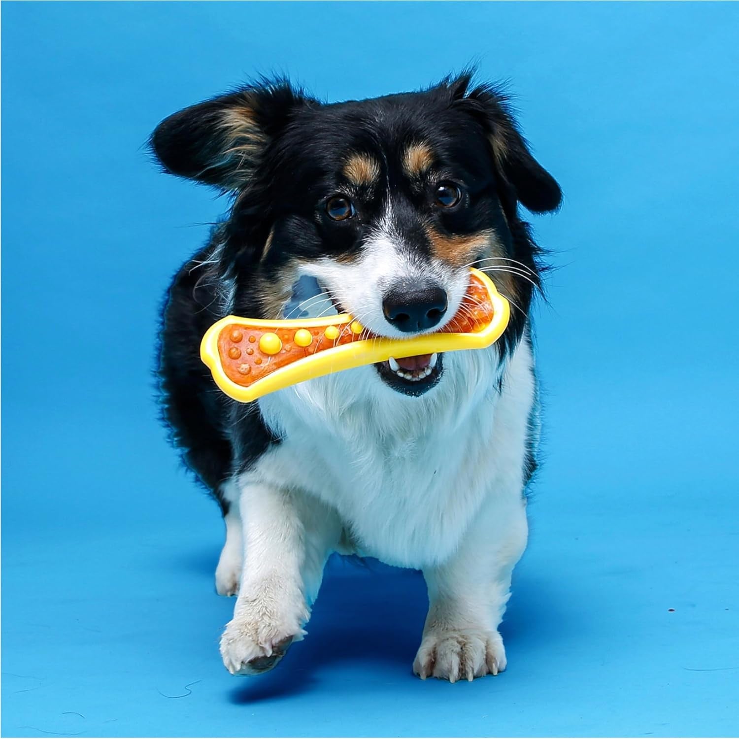 hartz-chew-n-clean-dental-duo-dog-treat-chew-toy-color-varies-medium-3-pack