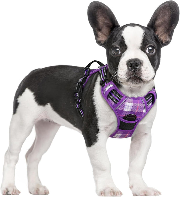 Rabbitgoo Dog Harness, No Pull for Large Dogs with 2 Leash Clips, Pet Vest | No Choke with Handle, Adjustable Soft Padded, Reflective, Easy Control for Walking, Black, Large110