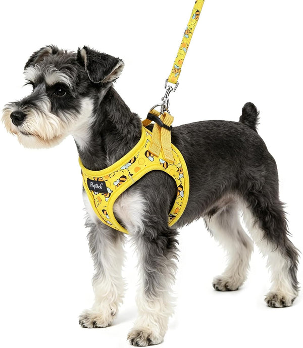 PUPTECK Dog Harness and Leash Set for Small Medium Dogs No Pull Step-In Soft Mesh Puppy Cat Vest Harnesses Reflective at Night, Green S37