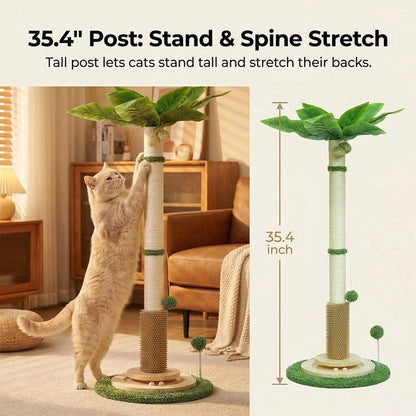 35.4" Tall Cat Scratching Post for Large Cats Heavy Duty Cat Scratch Post for Indoor Cats Large Cat Scratcher with Ball4