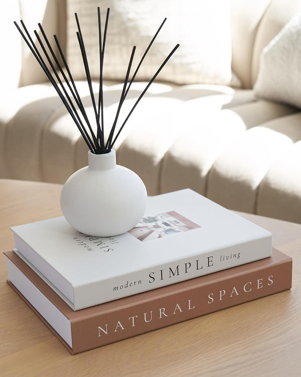 Beautiful Decorative Books Set of 2 Boxes for Coffee Table & Mantel Decor | Aesthetic Modern Home Decoration for Your Bookshelf or Mantel Shelf, Fake/Faux Books Double as Photo Storage or Keepsake Box2