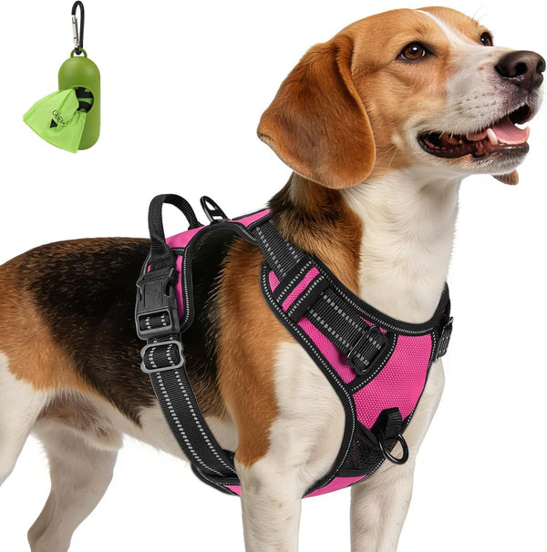 Joytale No Pull Dog Harness Medium Sized Dog, Front Clip, Black | Grab Handle for Instant Control, Padded & Adjustable Vest, Sturdy Metal D-Rings, for Safe Training & Daily Walking29
