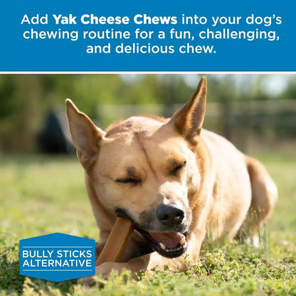 Best Bully Sticks Himalayan Yak Cheese Odor-Free Dog Chews, Large, 4 Count | Natural Dog Chews, Long Lasting Rawhide Alternative, Lactose-Free, Gluten-Free, Easily Digestible, Supports Joints & Bones6