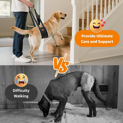 LOOBANI Adjustable Dog Sling for Large Dogs Hind Leg Support ACL Recovery | Walking & Stair Assistance, Senior Dog Mobility, Padded Comfort, Adjustable Fit, Lightweight Nylon, Soft Plush Lining2