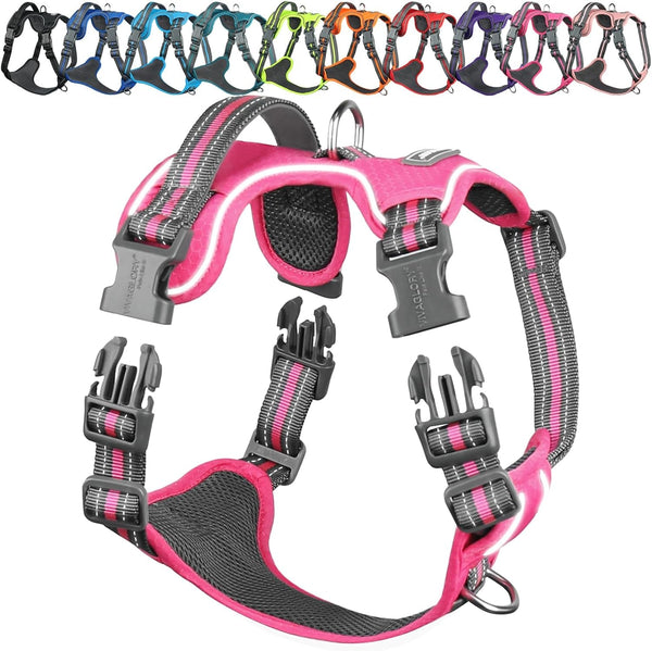 VIVAGLORY No Pull Dog Harness Vest Harness, L, Orange - Patterned | with Handle Front and Back Clip for Training & Pulling, No Pull & Escape Proof Padded Adjustable for Pet Puppy24