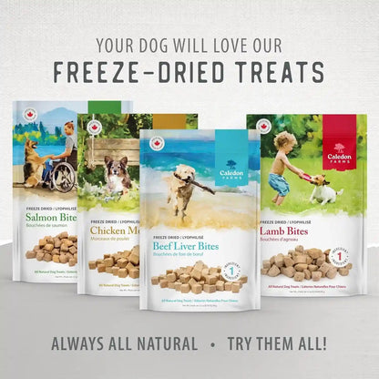 Caledon Farms Freeze Dried Beef Liver Bites Dog Treats, 150 Grams/5.3Oz11