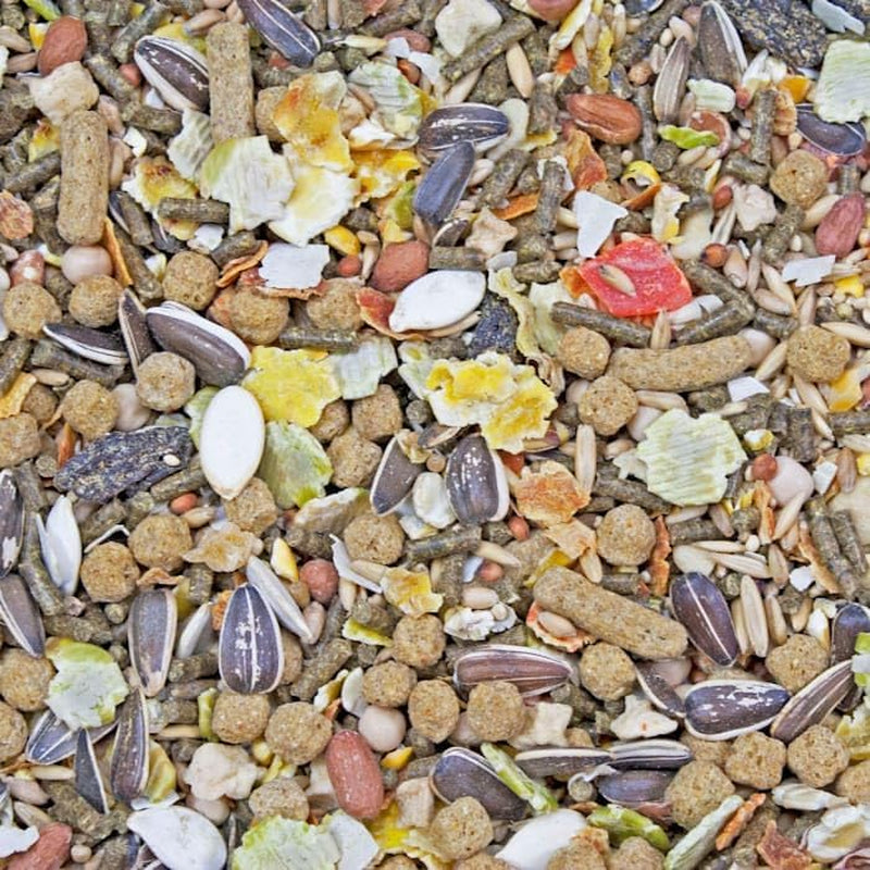 higgins-sunburst-gourmet-food-mix-for-hamsters-and-gerbils