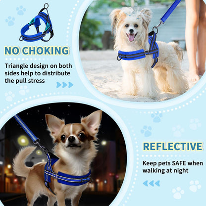 Lukovee No Pull Dog Harness and Leash Set, Soft Padded Small Dog Harness, Neck & Chest Adjustable Reflective Vest Puppy Harness with 4Ft Lightweight Anti-Twist Dog Leash for Small Dogs (XS, Blue)6