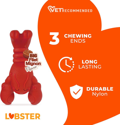 Nylabone Power Chew Lobster Dog Chew Toy, Filet Mignon Flavor, Small | Durable Dog Toys for Aggressive Chewers, Long Lasting, Discourages Destructive Chewing, for Dogs up to 25 Lbs2